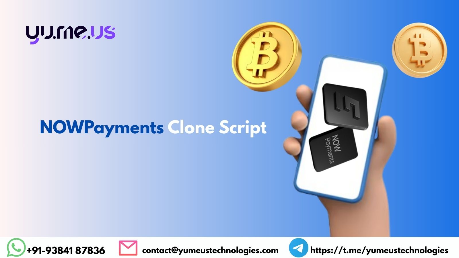 NOWPayments Clone Script For Multi-Crypto Payments!